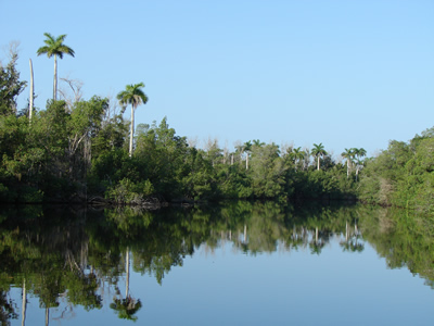 Rio Hatiguanico